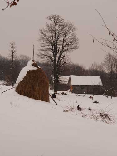 Foto La saivanele din dealul Plopis (c) Petru Goja